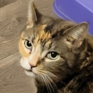 Meet your Posher, Ruthie